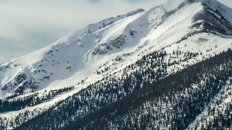 Cyber Security - professional stock photography