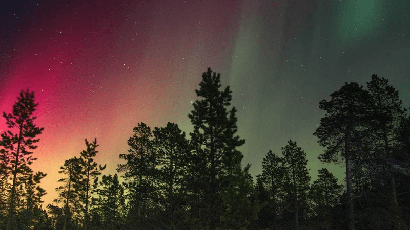 Monitor - professional stock photography