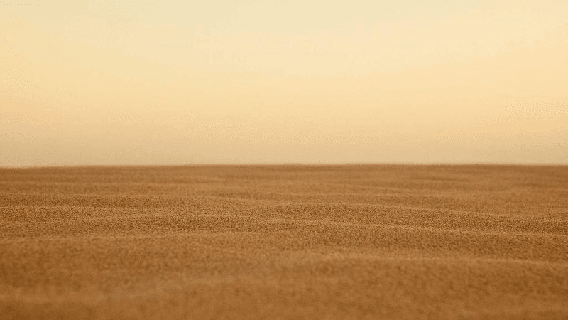 Network - professional stock photography